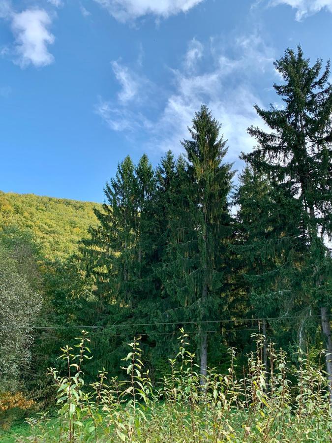 Grand Spa Holiday Home II Sklené Teplice Esterno foto